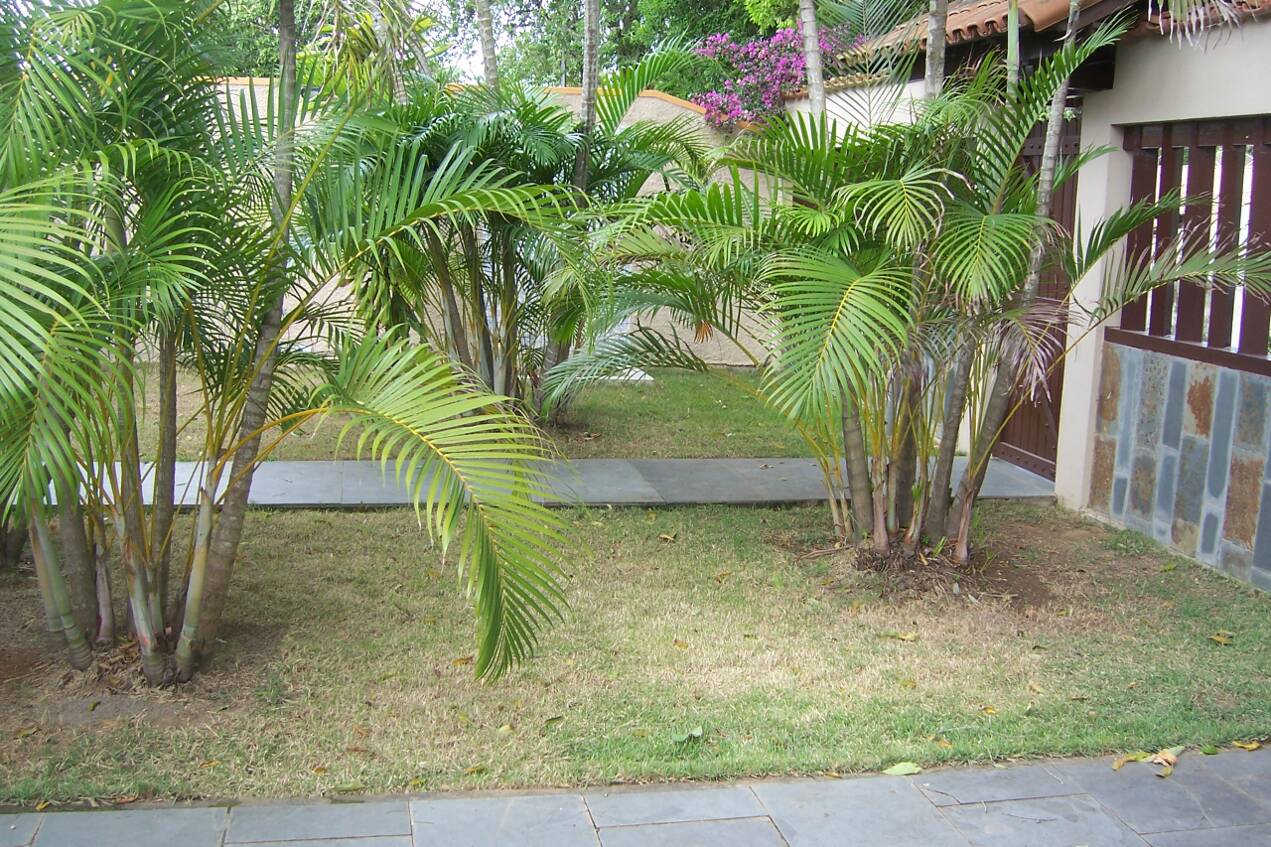 Jardim