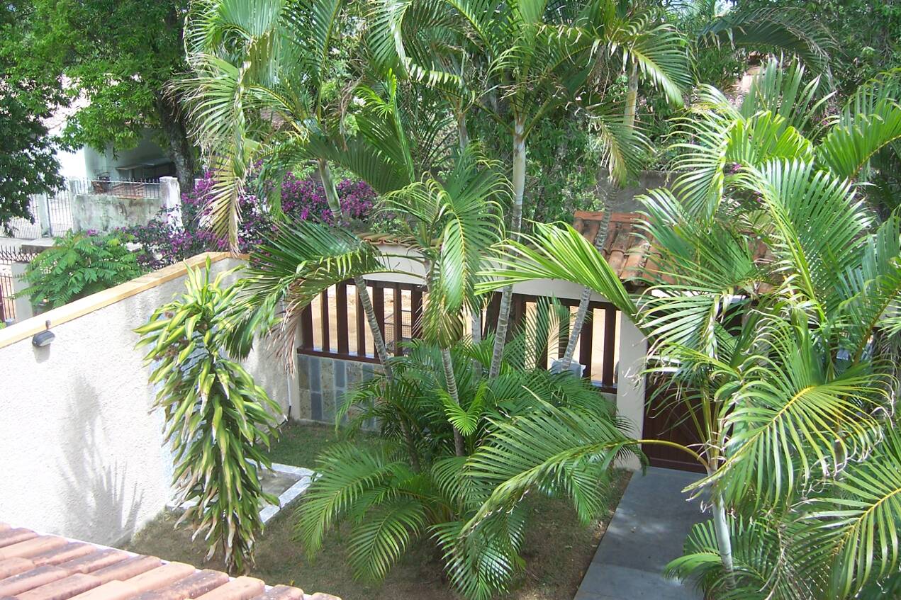 Jardim